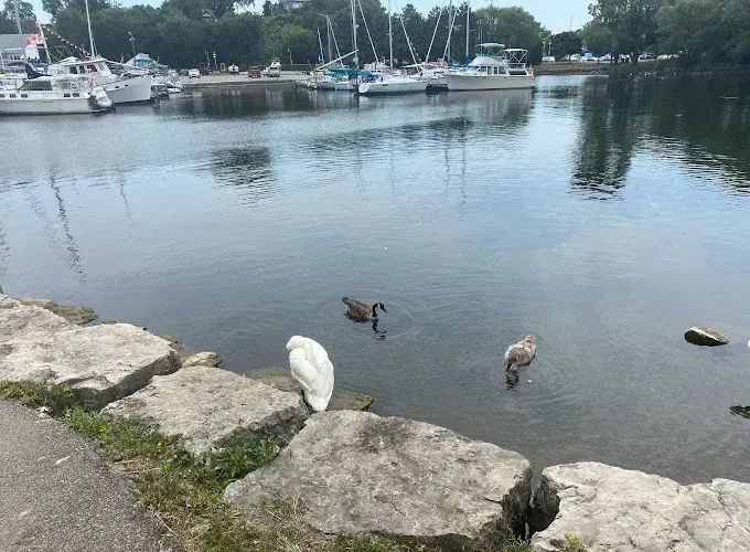 Bayfront Park