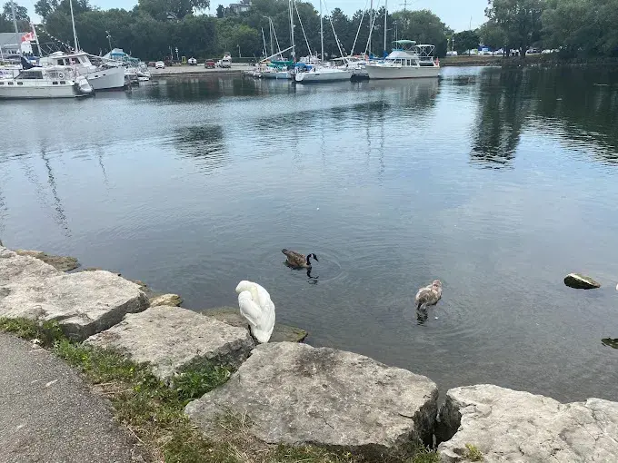 Bayfront Park