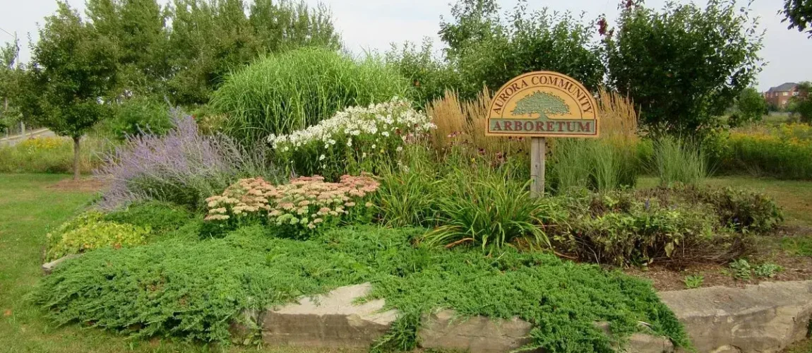 Aurora Community Arboretum