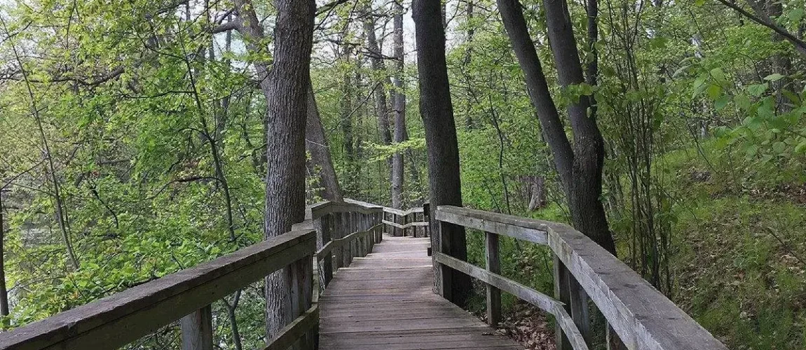 Rattray Marsh Conservation Area in Mississauga, ON