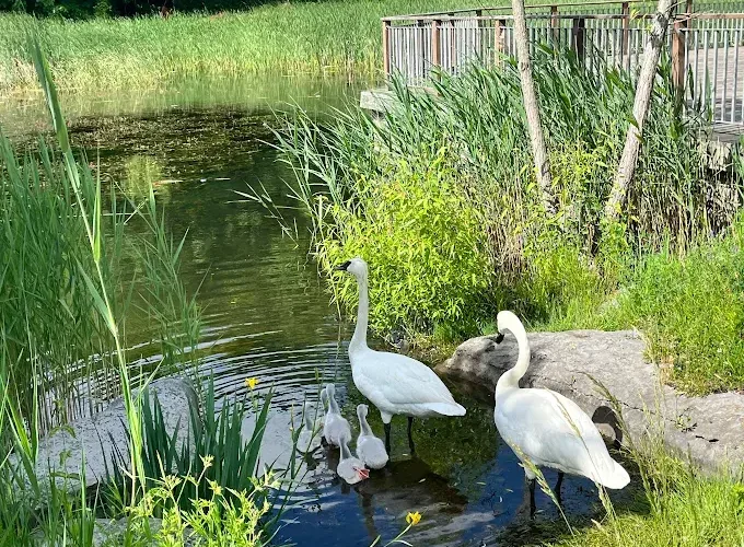 Milliken District Park, Scarborough, ON